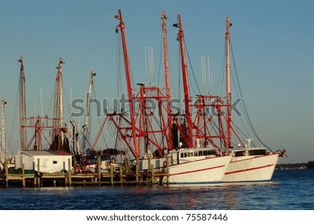 St Johns River In Florida. on the St. Johns River.