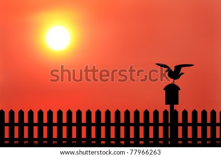 silhouette of bird on mailbox and wood fence during sunset