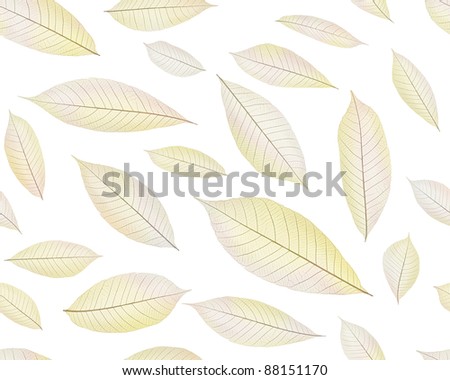 autumn leaf seamless pattern in yellow, isolated skeleton leaf on white background