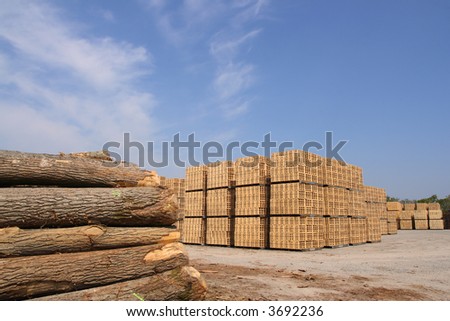 Sawn trees and wooden packing crates (horizontal)