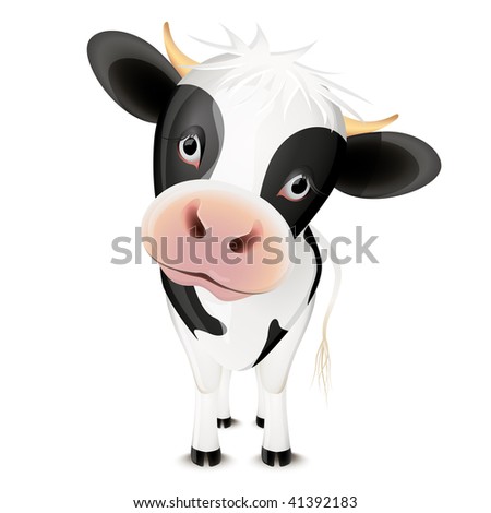 Little black and white cow Little black and white cow