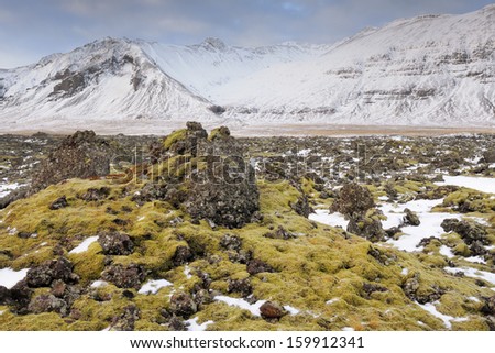 Old lava overgrown with mosses in an winter landscape at Iceland.