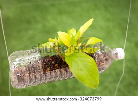 Empty plastic bottle use as a container for growing plant, recycling ecological friendly green concept
