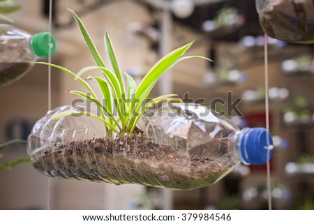Empty plastic bottle use as a container for growing plant, recycling green concept