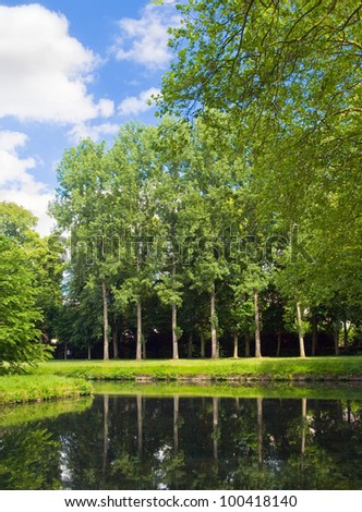 Landscape picture on the background of the reflections of trees. Green Park is a regular summer day near the Chateau, France.