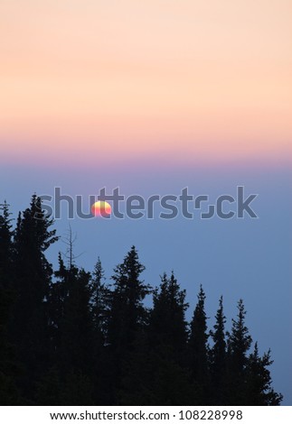 Image of forest silhouette against the sunset.