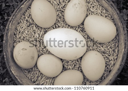 Brown image of a plate full of grain - oats, which is laid on top of chicken and goose eggs.