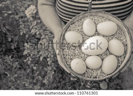 Brown image of a plate full of grain - oats, which is laid on top of chicken and goose eggs. The plate is in womanÃ?Â¢??s hands.