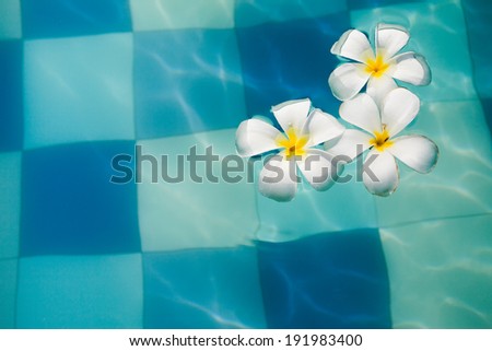 spa background of flowers on the water surface