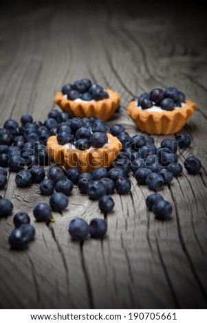 Set of tasty mini tarts with blueberry and vanilla cream on a dark wooden background