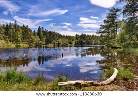 A view of Tarn Hows, a small lake in the English Lake District surrounded by woodland