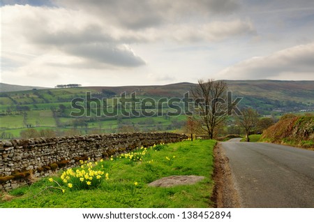 A country lane in the Yorkshire Dales, England, bordered by a stone wall and grass verge with daffodils, set again a backdrop of fells