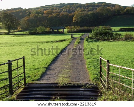 Open gate & cattle grid in morning Autumn light