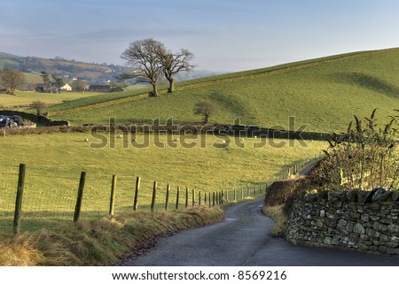 A country road in the English Lake District with a wire and wooden post fence, surrounded by grazing land