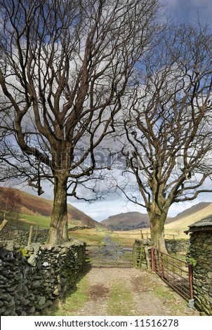 An English lake District farm gate bordered by two treees in Winter