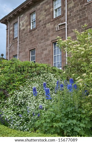 Blue Delphiniums adjacent to the wall of a large country house