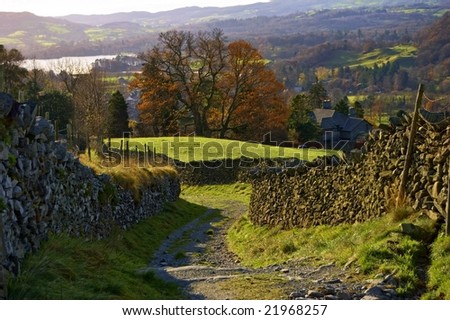 A sunny lane bordered by dry-stone walls. A tree in Autumn colours is in the backgound. Ambleside in the English lake district
