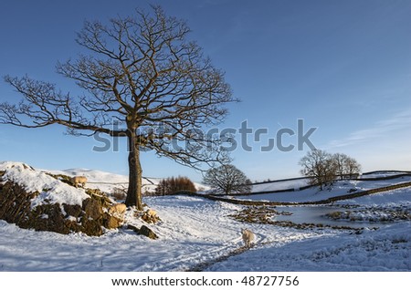 A view of a beautiful wintry landscape in England.