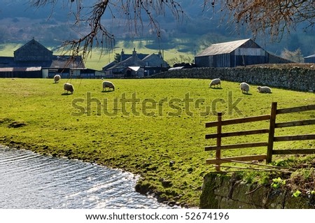 Scenic view of sheep grazing on field by Lancaster canal with farm buildings in background, Cumbria, England.
