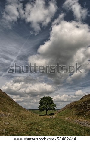 Sycamore Gap on Hadrian's wall in the Northumberland National Park