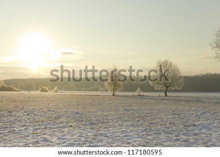sunrise in winter-wonderland, snow landscape with trees