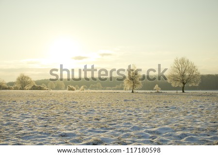 sunrise in the winter landscape with trees on the wide field