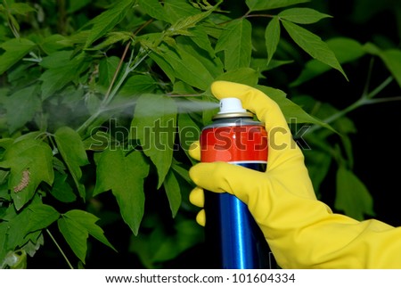 Picture of hand holding spray and spraying leafs of tree.