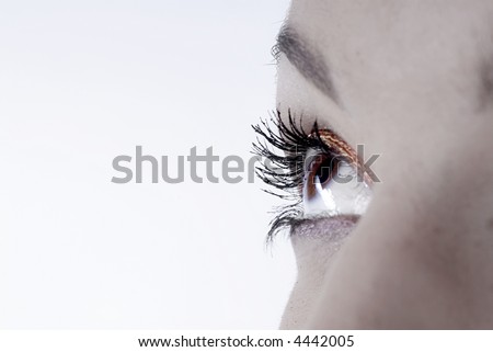 Picture of dreamy female beautiful eye
