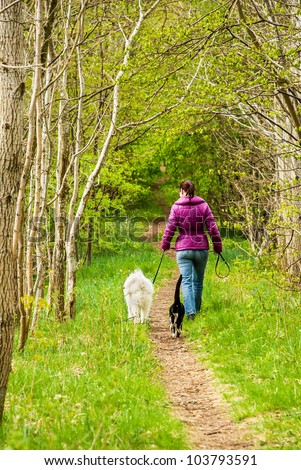 Cat, dog and woman walking on path