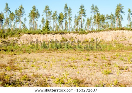 Unsustainable gravel pit in nature. Poor soil and slow growing trees. Moraine since ice age.