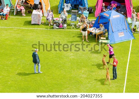 RONNEBY, SWEDEN - JULY 05, 2014: Blekinge Kennelklubb international dog show. Pharaoh hounds in the ring with judge and handlers. Aerial view.