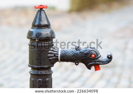 Black cast iron water faucet with dragon head and red eye and mouth.