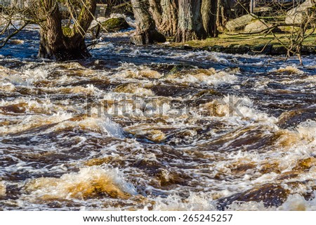 Wild rapids and high water levels flood riverside and erodes soil from tree roots.