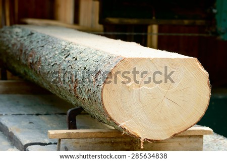 Thick log of timber being sawed into planks. Timber seen from the end with cut made on top.