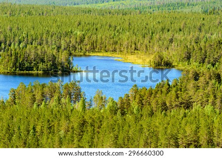 Lovely small lake in the middle of a spruce forest. No sky. Lake is blue and forest endless.