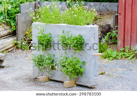 Recycle or up cycle in the garden. Here is a standing block of netted material with plants on sides and top. Plants seem to thrive excellent in the substrate.