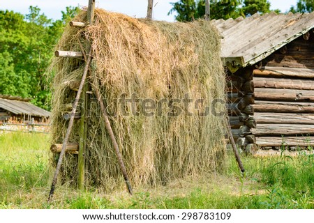 Haystacks where a common sight some years ago. Here is the old way to preserve food for farm animals. Wooden farm house in background.