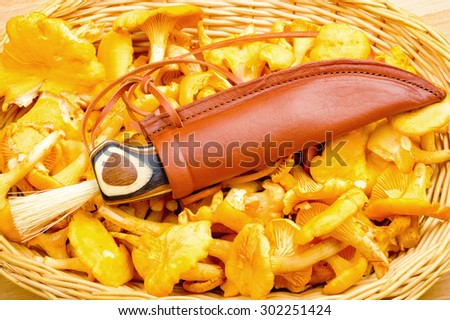 Lovely patterned mushroom knife on chanterelles in a basket. Handle on knife is fitted with a brush and is very nicely layered with different types of wood. Small sharp blade and fine leather sheath.