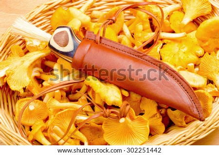Lovely patterned mushroom knife on chanterelles in a basket. Handle on knife is fitted with a brush and is very nicely layered with different types of wood. Fine leather sheath.
