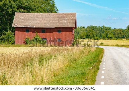 Red, wooden farm building close to the road. Wheat field and road side in the foreground. Other farmland and forest in background. Sun is shining. Roof is breaking up.