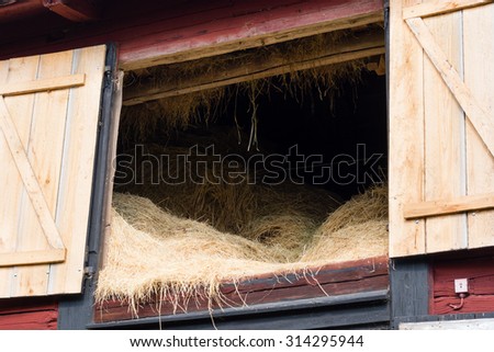 Stored hay on the loft area of an old farmhouse. Hatches are open and inside it is dark with lots of fresh hay as winter food for the animals.