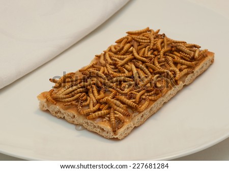 Meal worms on toast with honey.