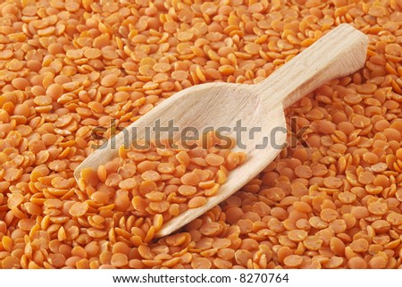 orange/red lentil seeds