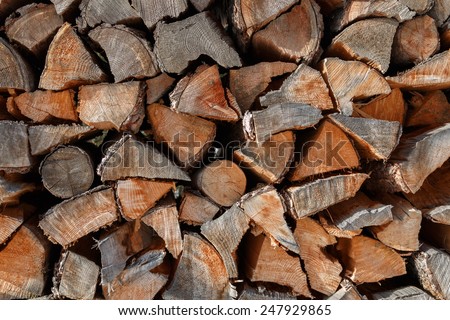Cut logs showing concentric grain rings in a winter fuel store
