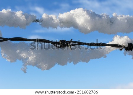 Snow clinging to a barbed wire fence against a blue sky with copyspace