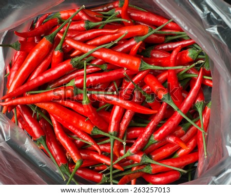 Red chillies in plastic bag