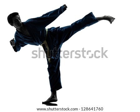 Martial artist side kicking picture.
