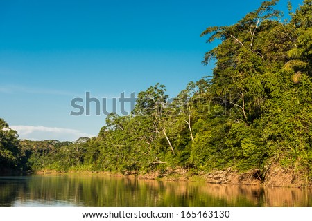 heath river in the peruvian Amazon jungle at Madre de Dios