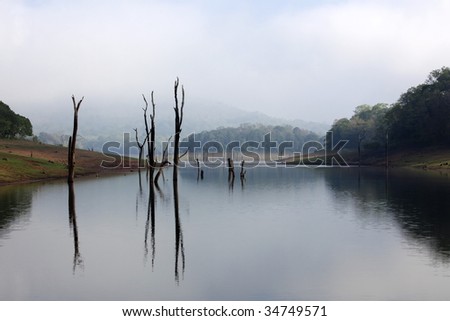 Periyar Lake Reserve in Kerala state india