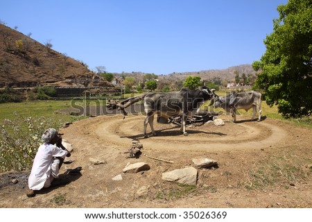 old indian man farmer smoking pipe in countryside near ranakpur in rajasthan state in india